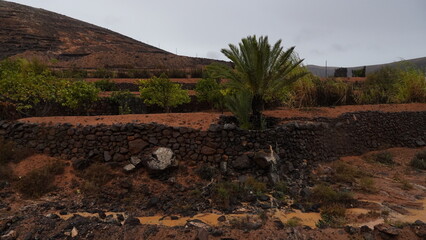 rainy day in a desert and arid place