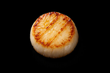 Premium Seared Scallop on Deep Black Background