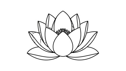 Detailed Black Outline Lotus Flower with Visible Seed Pod and Petals on Isolated White Background