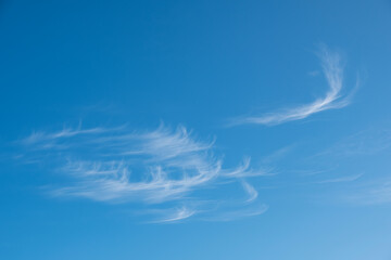 Cirros sobre un cielo azul © s-aznar