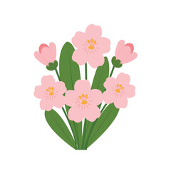 A bouquet of delicate spring pink forget-me-nots on a white background