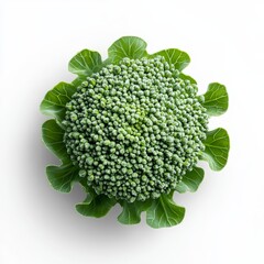 Fresh Green Broccoli Floret Isolated on White for Healthy Keto Diet Concept