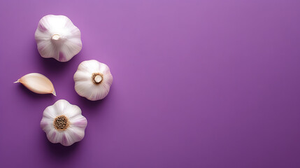 Purple backdrop with garlic heads and clove. A vibrant culinary display. Use it in cooking blogs, health articles, or even product mockups for kitchenware!