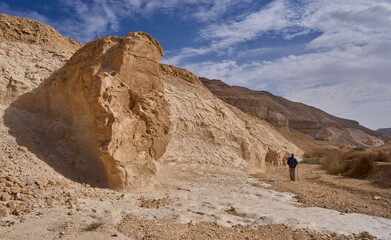 Dramatic landscape of the Negev desert - open space and sharp ridgelines shaped by erosion over years. Pale colors of the desert - white, beige and light gray. Mail tourist going along a dry riverbed.