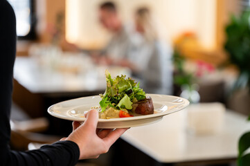waiter presents a beautifully plated dish of meat medallions with a fresh green salad and garnish...