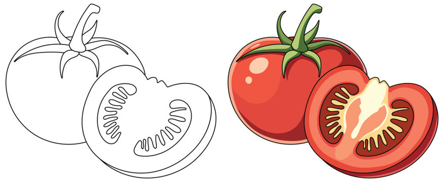 Tomato illustration featuring a whole ripe tomato with green stem alongside a sliced half showing detailed interior in a bright clean vector style for food visuals