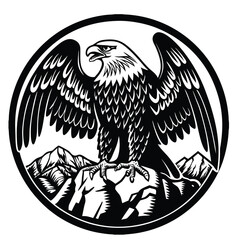 eagle on a white background