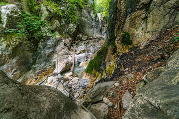 Adventure Awaits on Hvadnik Via Ferrata Through Slovenias Mysterious Martuljek Gorge Wilderness