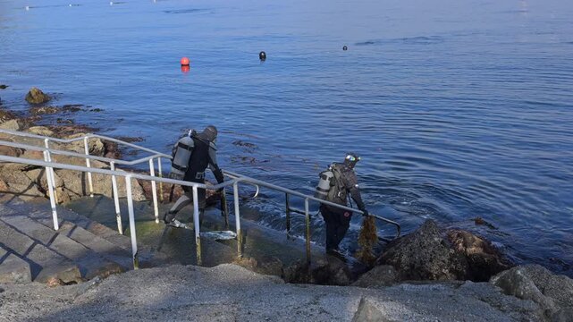 Scuba divers walk downstairs into ocean.