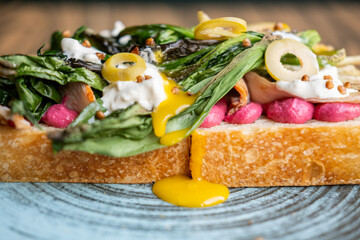 Sandwich lunch. Tasty meal. Colorful toast topped with green grilled vegetables chopped olives. Bruschetta food with dripping sauce.