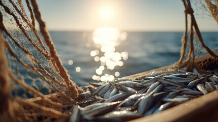 Bountiful harvest of fresh sea fish