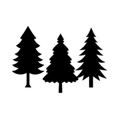 Three pine trees silhouette