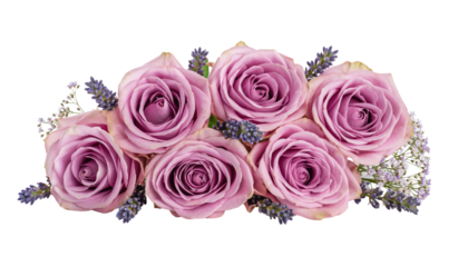 Valentine day beautiful arrangement of six pink roses with green accents and delicate details product shot isolated