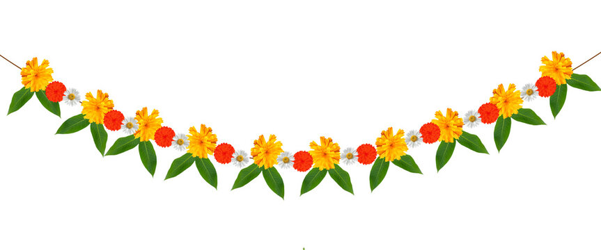 Indian festival Thoranam or Toran of marigold flowers isolated on transparent background with lotus flower and mango leaf, hanging in entrance of house, reception, mall, temple, functions.