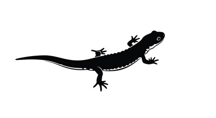 A simple and elegant black silhouette of a newt or salamander, a small amphibian creature, isolated on a white background.