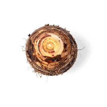 Top View of Sliced Raw Taro Root Showing Internal Rings on White Background
