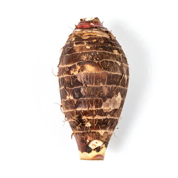 Side View of Whole Raw Taro Root with Fibrous Brown Texture on White Background