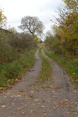 Fototapeta premium Autumn road near the Mazur Canal in the Kaliningrad region