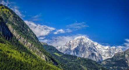 Fototapeta premium Alps mountain landscape with snow capped peaks and green forest