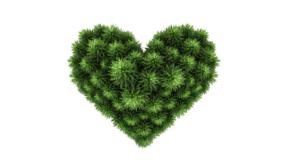 Valentine day green heart shape made of lush foliage symbolizing love and affection object on white and png