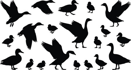 Black silhouettes of ducks geese and ducklings in various poses duck silhouette goose silhouette © Riyaj Vector Valley
