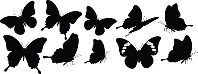 Collection of black butterfly silhouettes in various poses and angles insect wing © Riyaj Vector Valley