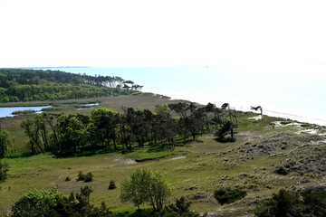 K&uuml;stenwald Westk&uuml;ste, Blick vom Leuchtturm Dar&szlig;er Ort  