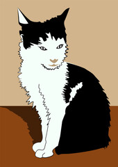 Black and white cat vector illustration