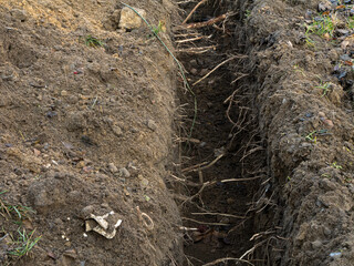 Fototapeta premium Freshly dug construction trench with exposed soil layers and tree roots. 