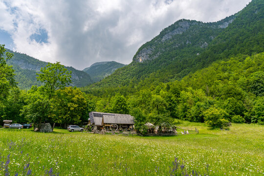 Serene Mostnica Gorge Meadow with Rustic Cart Amidst Lush Alpine Scenery in Bohinj Slovenia - Powered by Adobe