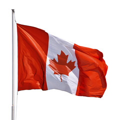 Canadian flag waving isolated on white