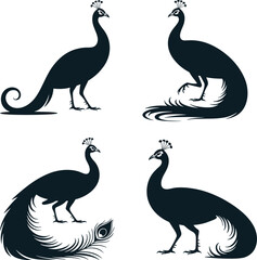 Four black peacock silhouettes with detailed feathers and crests
