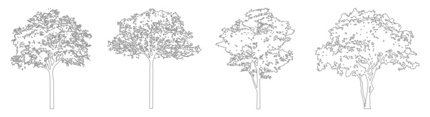 CAD Landscape Tree Drawings, Minimal Line Side Views for Architectural Design Plans