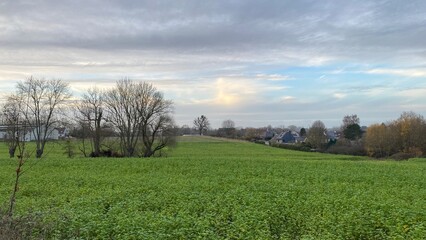 Obraz premium Paysage rural en fin de journée d'automne près de Nivelles (Brabant Wallon)