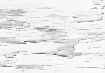 Distressed white peeling paint texture revealing layered wood beneath. Features cracks, flaking surfaces, and weathered details, perfect for rustic, vintage, or industrial design projects.