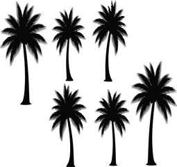 Obraz premium A collection of tropical palm trees in varying forms and sizes presented as a dark silhouette