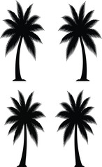Fototapeta premium Four tropical palm trees presented in a dark dramatic style creating a striking visual silhouette