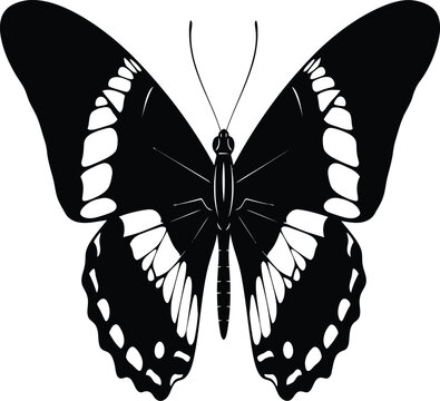 A striking black butterfly illustration with detailed wing patterns presented in a bold classic silhouette