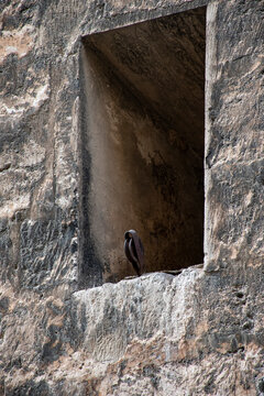 venta en una torre con una polea para subir materiales