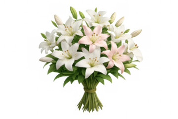 Lily flower bouquet presenting elegance and purity with white and pink blossoms, transparent background