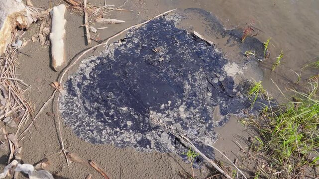 Pollution tar on river bank 