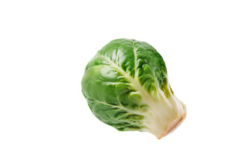 cabbage isolated on white
