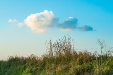 Obraz premium Nature Landscape with Clouds and Meadow