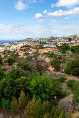 Madeira's Hillside Charm