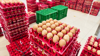 Pile of eggs in a red egg tray, displaying poultry farm products ready for sale.