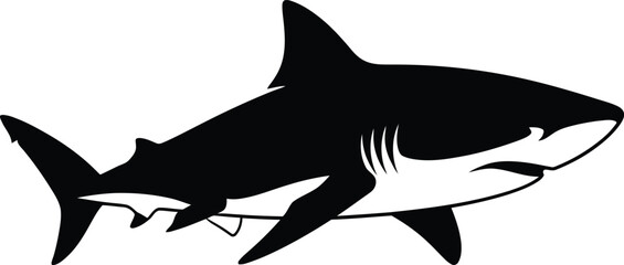 Silhouette of a shark isolated on transparent background, Vector, illustration © HAFIJA KHATUN