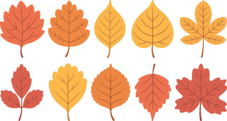 Fototapeta premium collection of colorful autumn leaves on white background