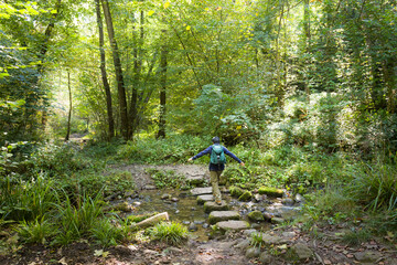 Woman hiking in Hackfall Wood, Nidderdale, Yorkshire Dales, UK