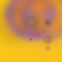 Vibrant Abstract Circles on Yellow Background