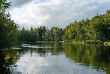 A serene forest river reflecting the cloudy sky and lush green trees on a peaceful day
